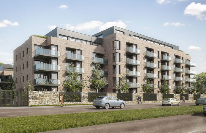 Andrews Construction Foxrock